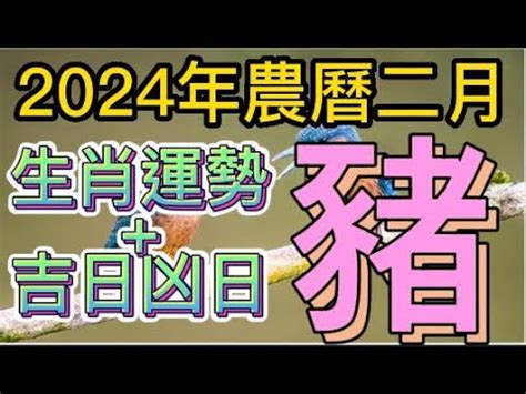 1980年農曆生肖|1980年中國農曆,黃道吉日,嫁娶擇日,農民曆,節氣,節日